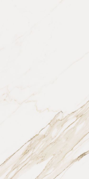 Omnia Calacatta Matte 24 x 48